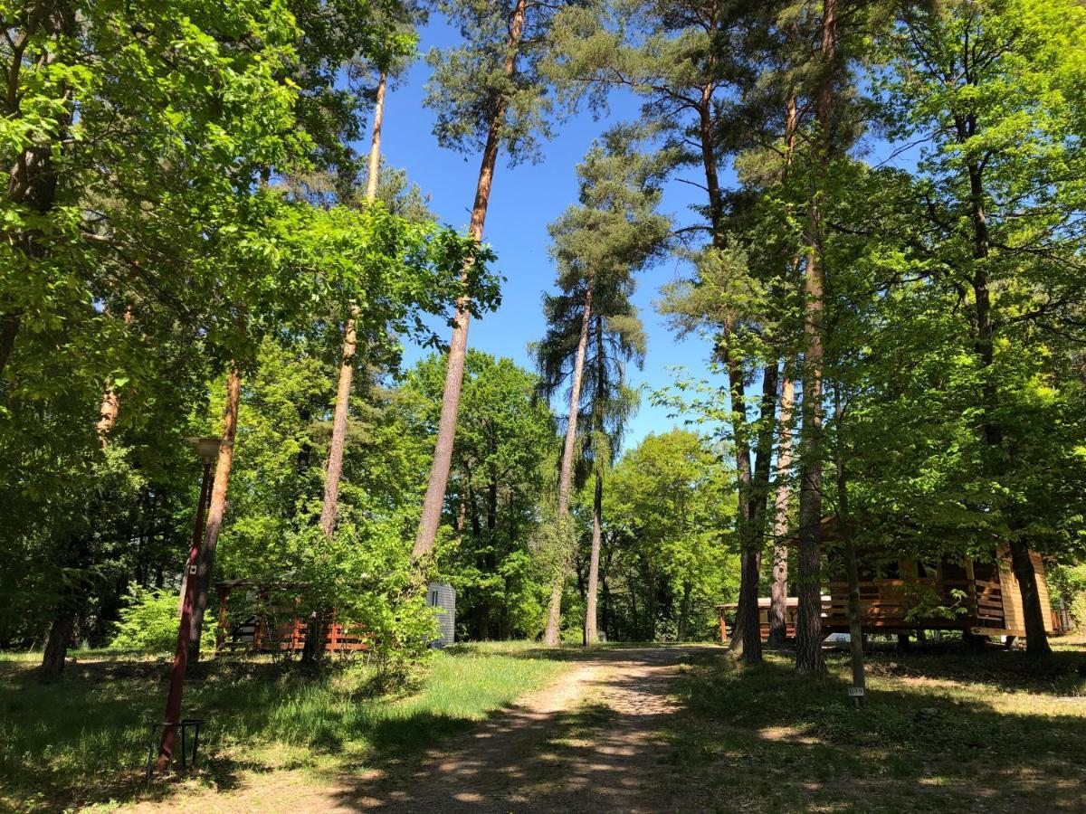 Camping Osenbach 外观 照片