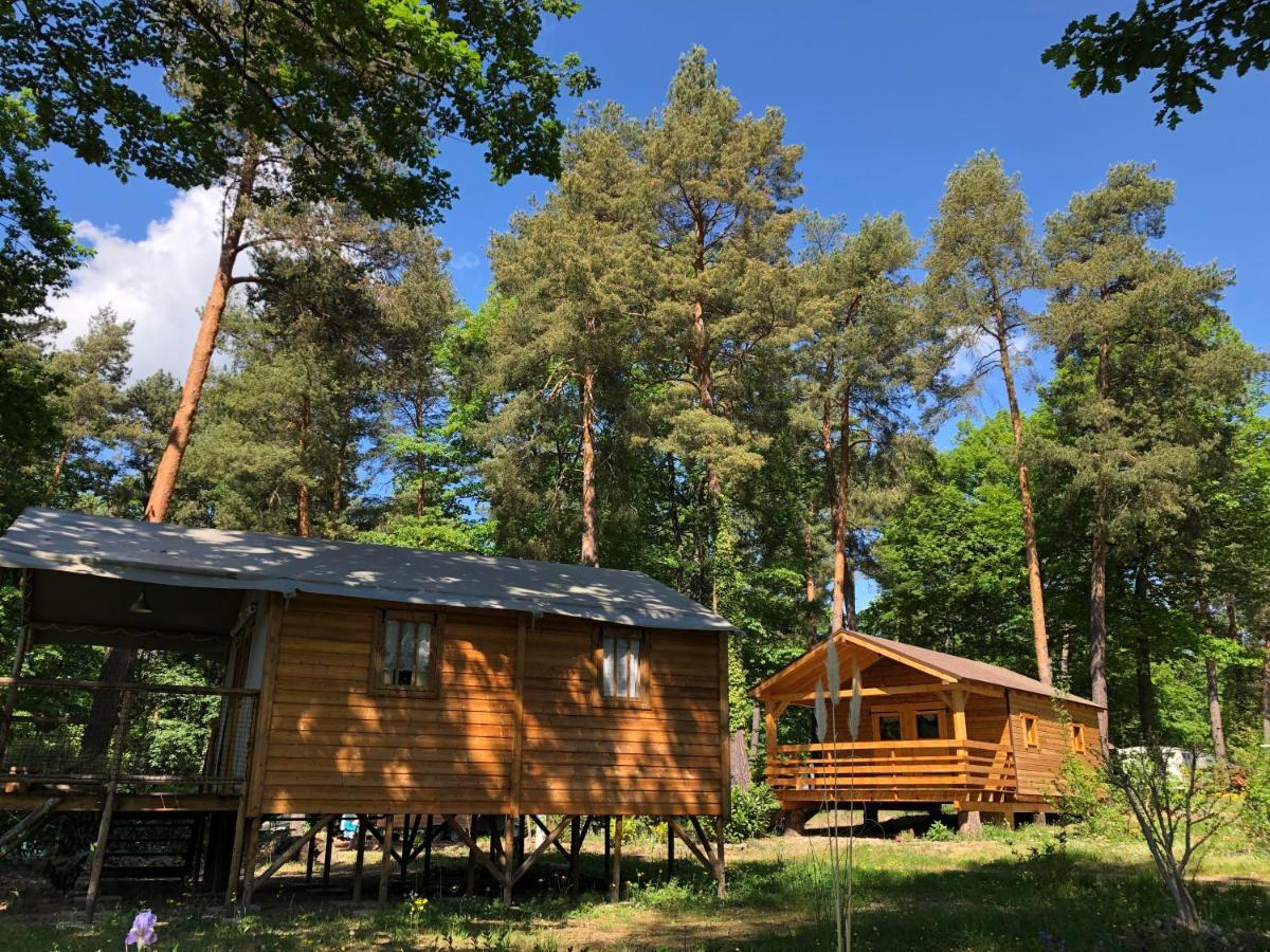 Camping Osenbach 外观 照片